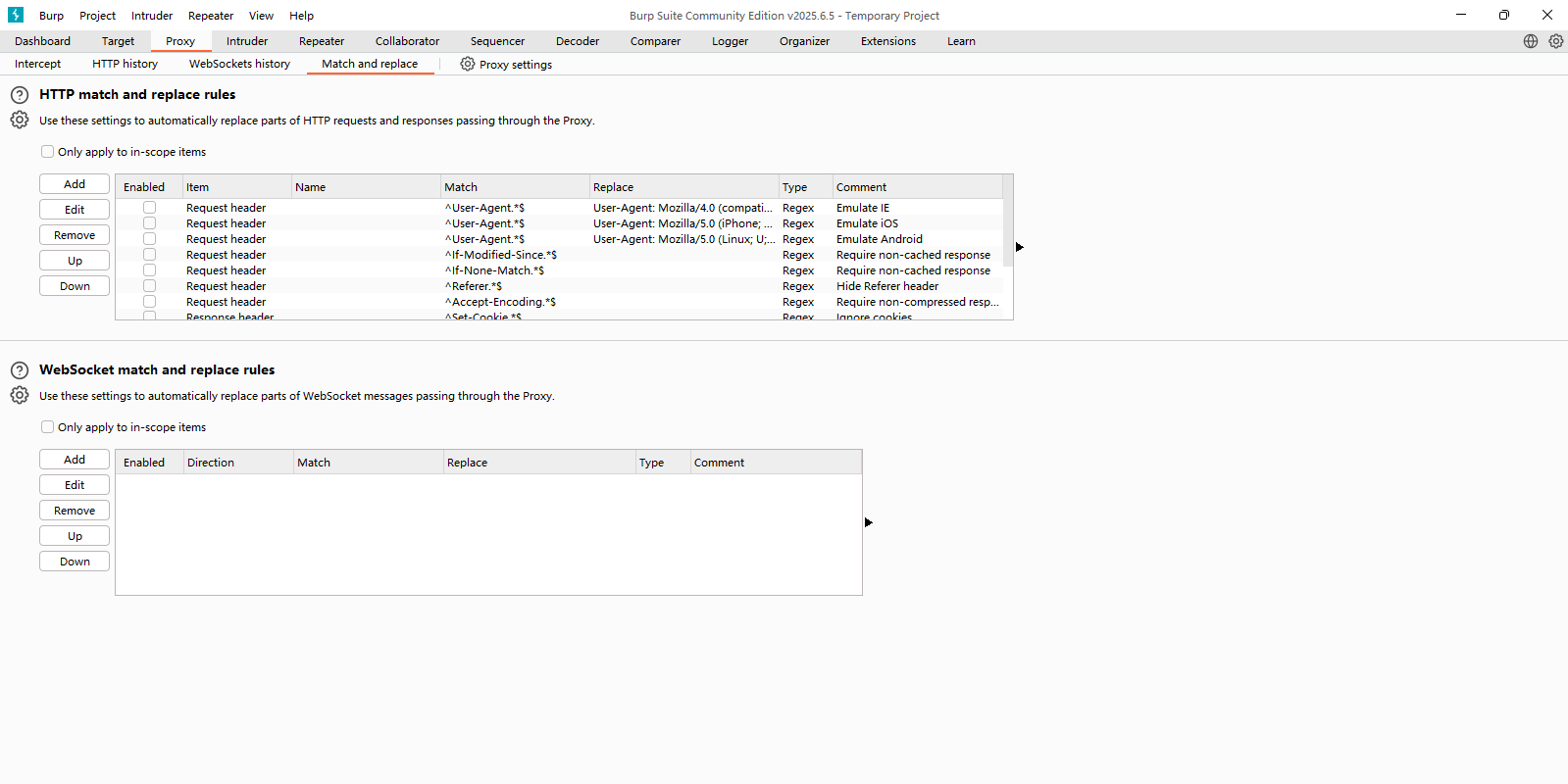 Burp Suite Community Editionͼ2