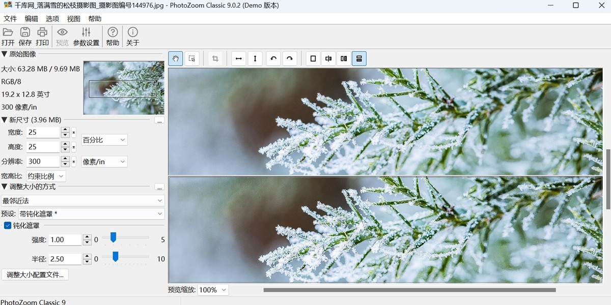 PhotoZoom Classic 9��ͼ5