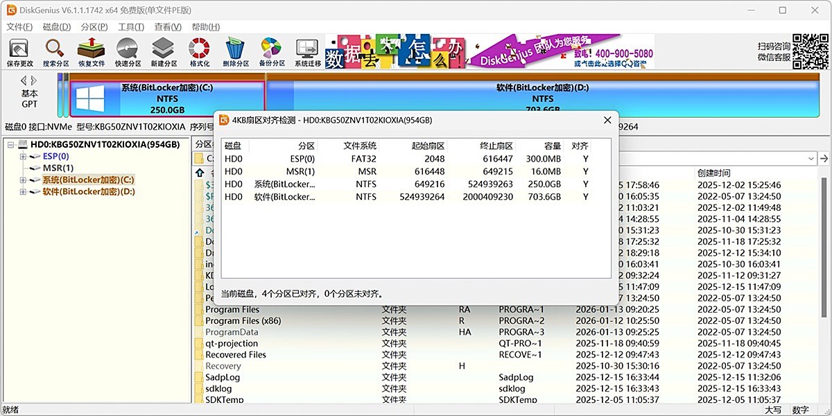 DiskGenius���ļ�PE��64λ��ͼ5