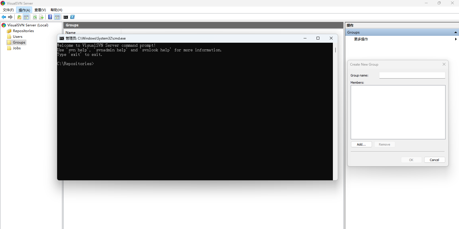 VisualSVN Server��ͼ3